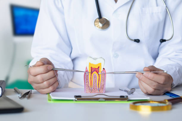Best Emergency Treatment for Dental Infections or Abscesses in East Sparta, OH